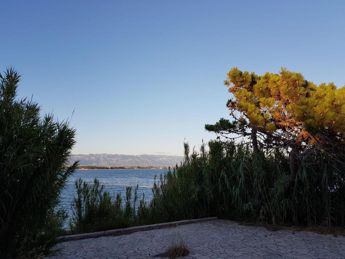 Apartmani Vukadin Vir Exteriér fotografie