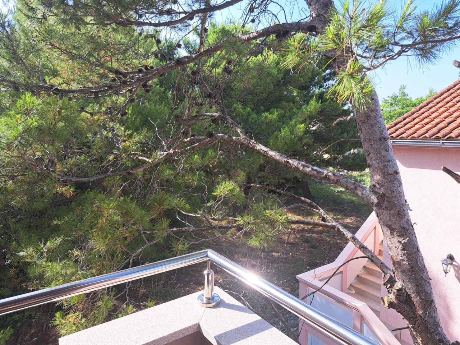 Apartmani Vukadin Vir Exteriér fotografie